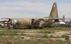 3019D.jpg