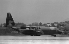 3035H.jpg