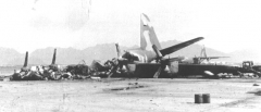 3036B.jpg