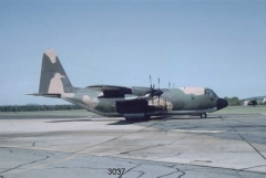 3037C.jpg