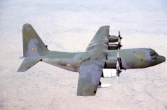 3037F.jpg