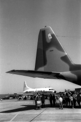 3043D.jpg
