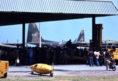 3054C.jpg
