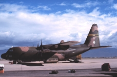 3055.jpg