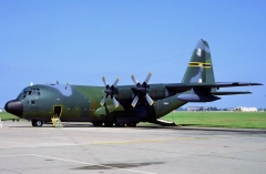 3055D.jpg