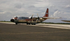 3055G.jpg