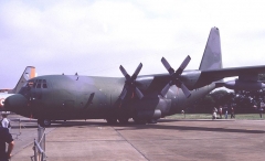3059.jpg