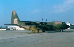 3059D.jpg