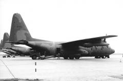 3059L.jpg