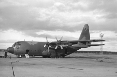 3086D.JPG