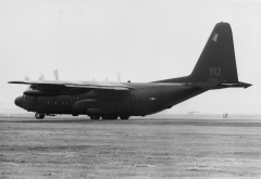 3091D.jpg