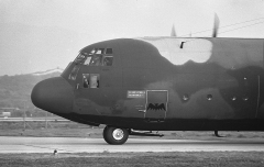 3091G.jpg