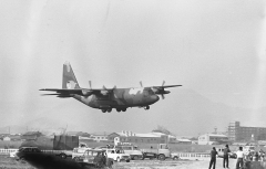 3091J.jpg