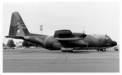 3091M.jpg