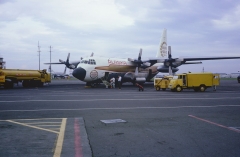 golden_nugget_freighter_n9263r.jpg