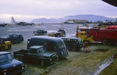 nha_trang_cattle_drive_1966.jpg