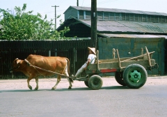 tai_chung_slow_freight.jpg