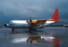 3203.jpg