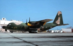 3203F.jpg