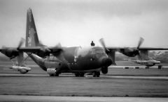 3203M.jpg
