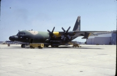 3203Q.jpg