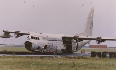 3205.jpg