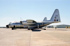 3206.jpg
