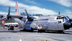3206C.jpg