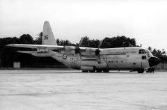 3206E.jpg