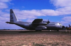 3206F.jpg