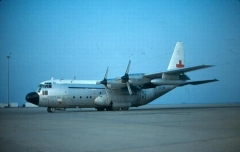 3207D.jpg
