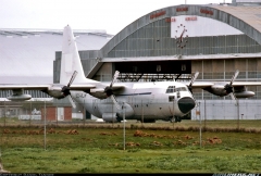 3207M.jpg