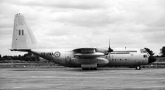 3208C.JPG