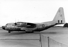3214G.jpg