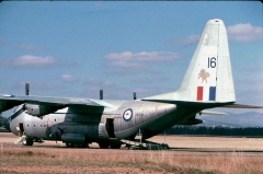 3216D.jpg