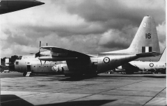 3216G.jpg
