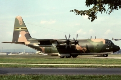 3219W.jpg