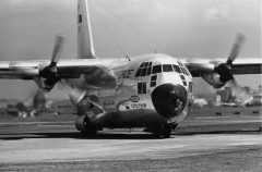 3226E.jpg