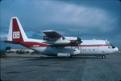 3227.jpg