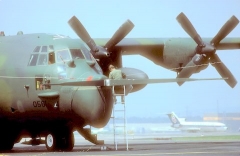 4065D.jpg