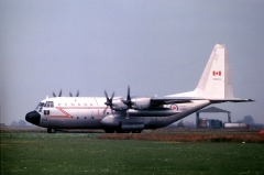 4066G.jpg