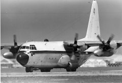 4074C.jpg