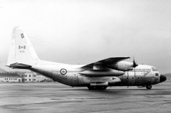 4075D.jpg