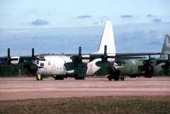 4077I.jpg