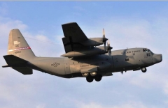 4103L.JPG