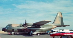 4113C.jpg