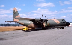 4113D.jpg
