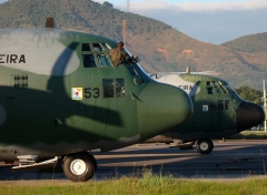 4113G.jpg