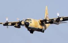 4115D.jpg