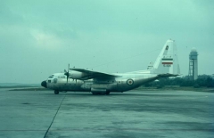 4117D.jpg